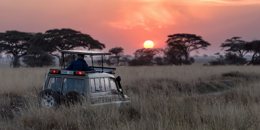 The Okavango Delta is a one of the popular African jungle safaris spot in Botswana to visit this year.