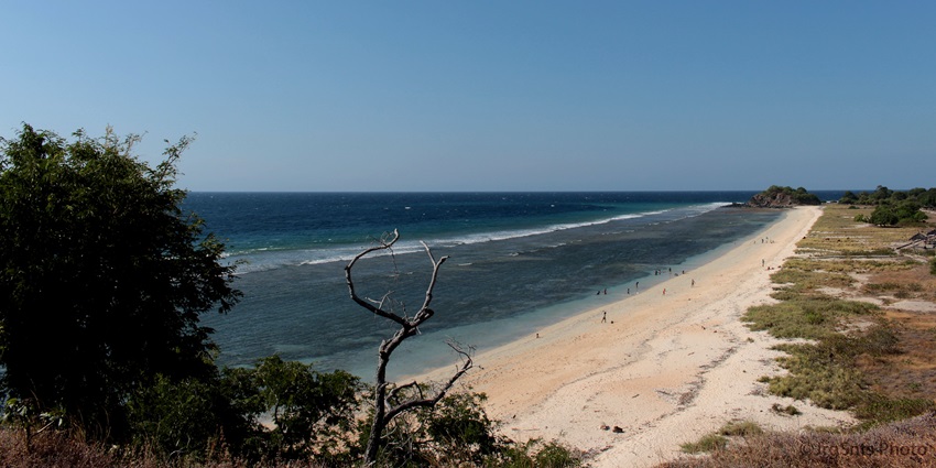 An image of serene beach with golden sands, perfect for swimming and relaxing by the sea.