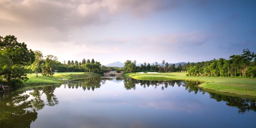 Image of lake surrounded by lush greenery trees and clear body of water under blue sky