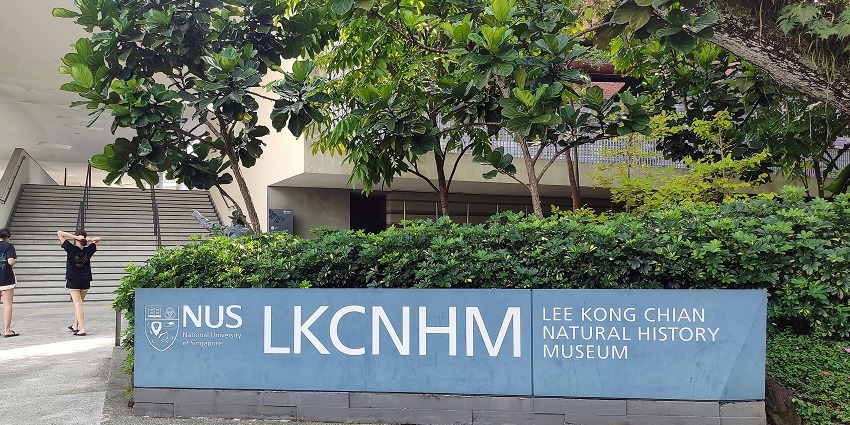 Entrance gate of the Lee Kong Chian Natural History Museum