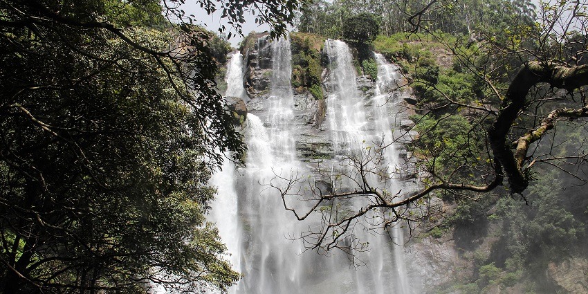 Sparkling water cascading down the rocks surrounded by lush greenery