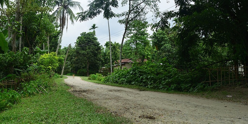 Entrance to a neighbouring village of Bogamati in Baksa District of Assam