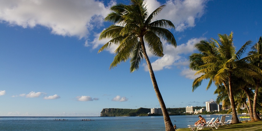 Scenic view of a beach in Guam, lined with tall palm trees on a sunmy day