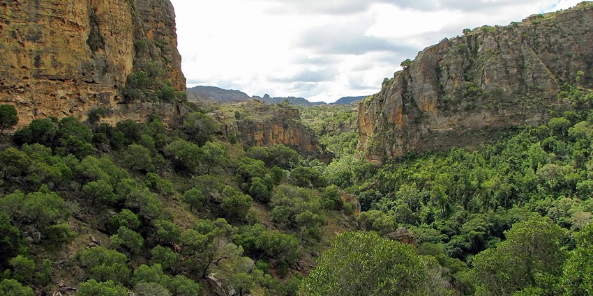 Picturesque view inside the landscapes the Isalo National Park located in Madagascar.