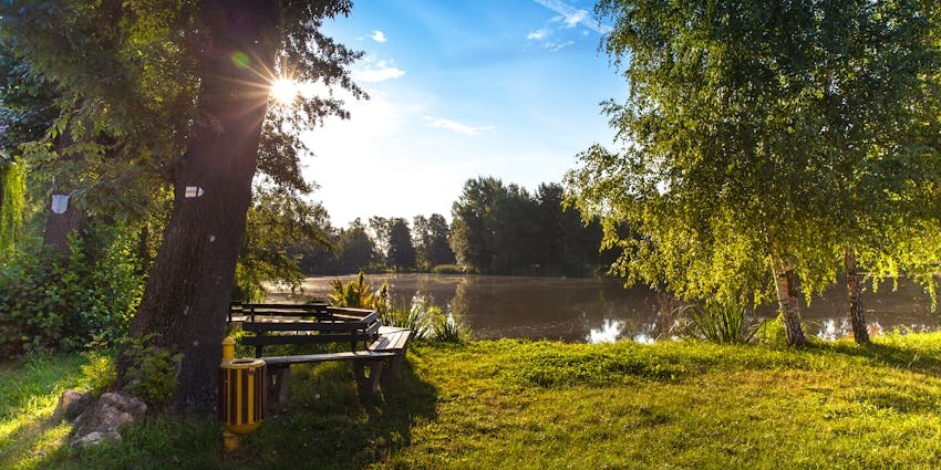 Image of the fields in the park, showcasing a clear environment, with a lively area.