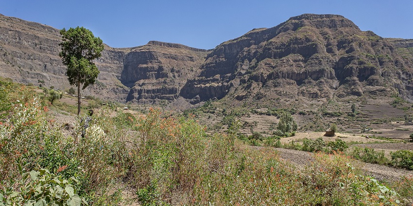 An amazing view of the wildlife spotted at beautiful landscapes in the Great Rift Valley