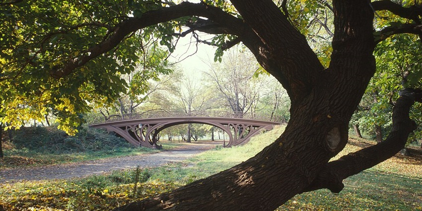 Image from the central park in New York city in the United Stated of America