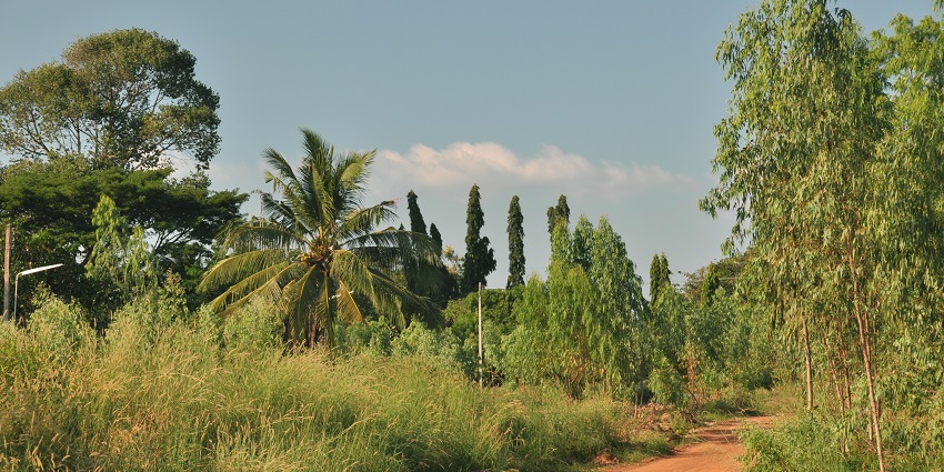 Image of the natural beauty of Rayong, ideal spot for nature lovers