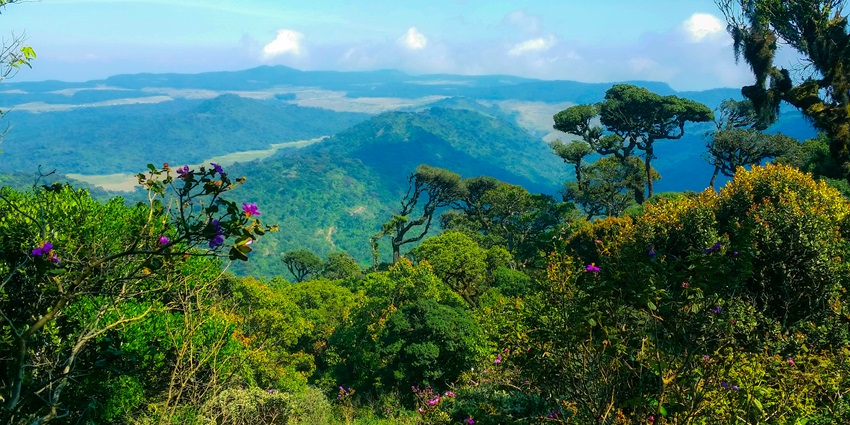 An image of the Nuwara Eliya Racecourse, one of the places to visit in Sri Lanka.