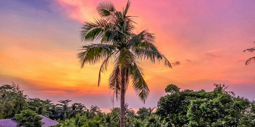 The soothing beaches and dense landscapes of Phu Quoc, Vietnam in the evening.