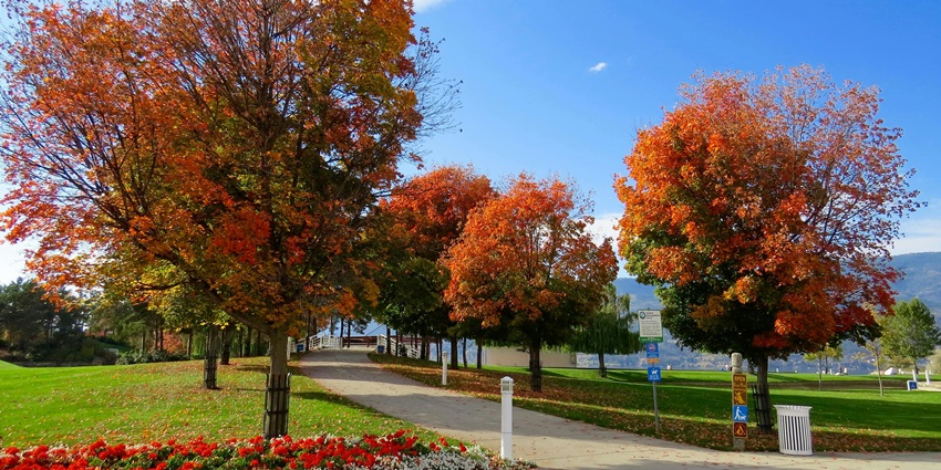 Image of Carlton Gardens, offering an ideal escape for nature lovers