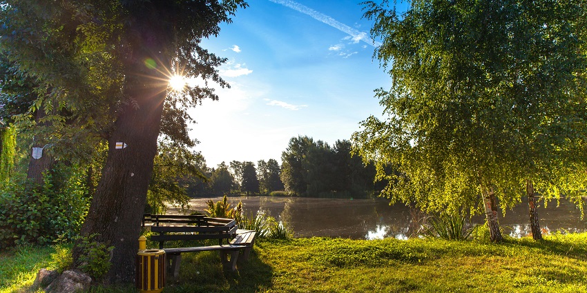View of the picnic spot in Hahim, perfect for a day of relaxation and scenic beauty