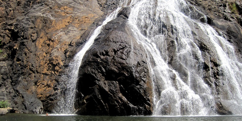 An image showing a waterfall in Bhagwan Mahaveer Sanctuary and Mollem National Park