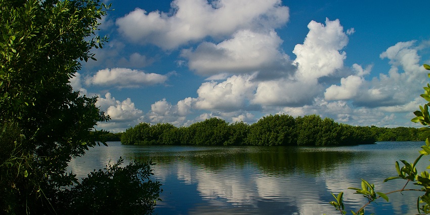 An Image of a beautiful lake at Everglades National Park, showcasing amazing atmosphere for resting