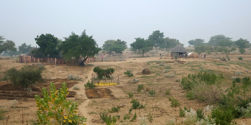 An image of a deserted village setting with multiple huts and plants in Rajasthan