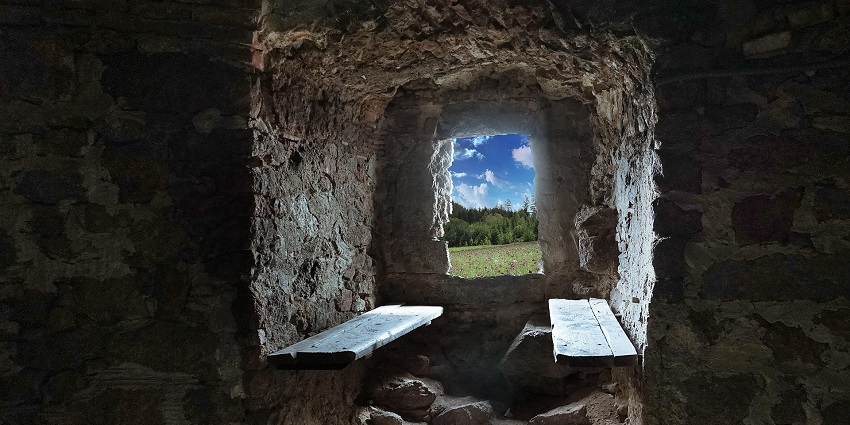 A breathtaking view from a cave overlooking a meadow filled with vibrant greenery.