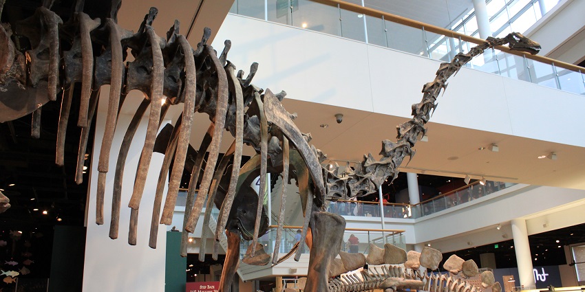 Explore the fascinating exhibits and hands-on experiments at Sharjah Science Museum