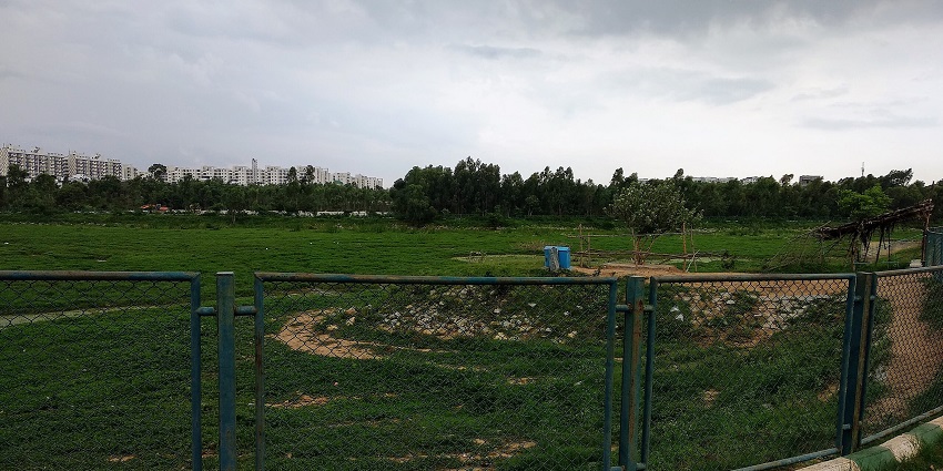 A sight of the largest lakes in Bangalore lined with greenery.
