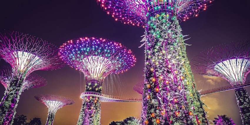 View of the Gardens by the bay, Singapore at night