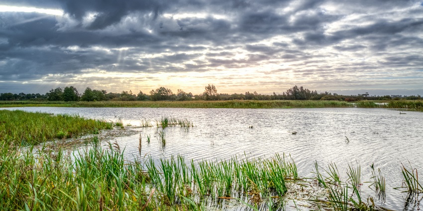 Padmasar lake reflects the colours of the sky, creating a mesmerising view for visitors.
