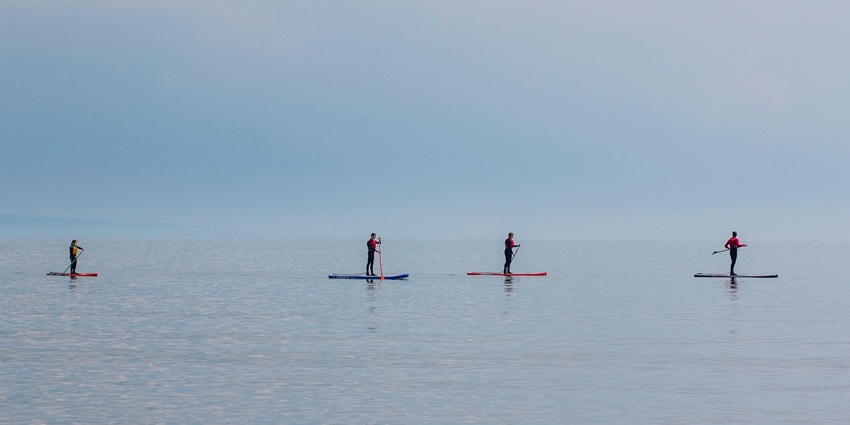 A group of people paddleboarding together on the calm waters of Nikko Bay.