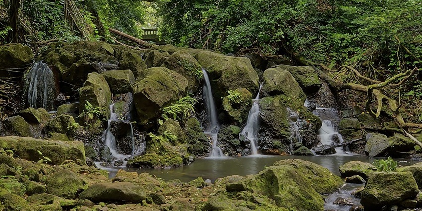 A picturesque waterfall cascading down moss-covered rocks, surrounded by dense forest.