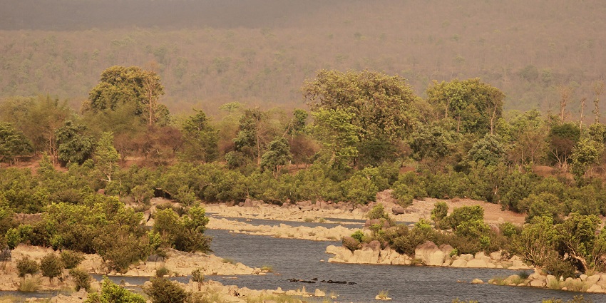 An image of a river flowing through the forested area of Panna National Park, with hills in the background