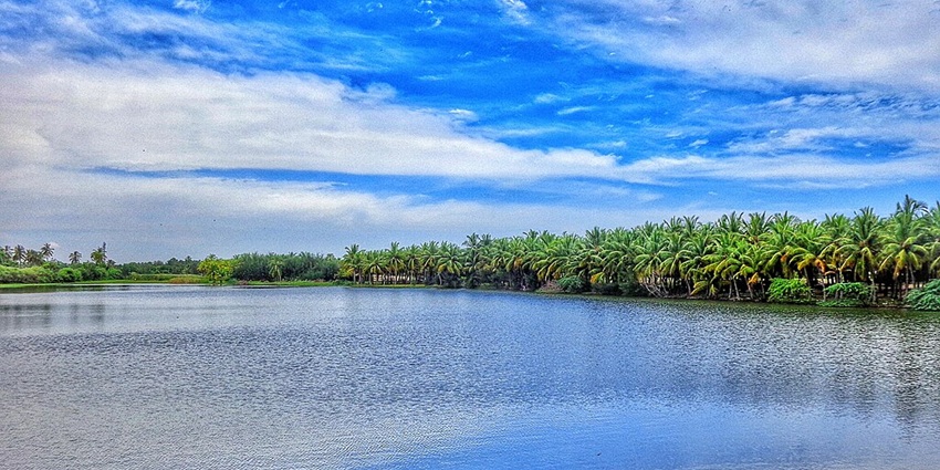 An image of Paradise Beach, Pondicherry, with soft golden sand and clear blue water.