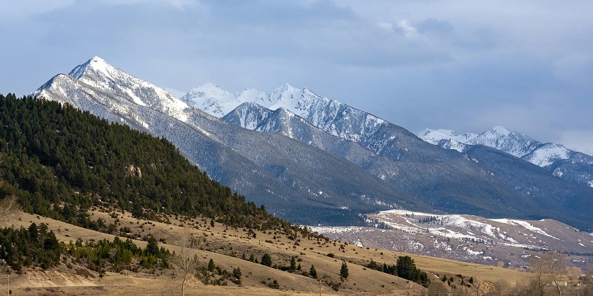 An image of the valley and pine trees surrounded on a clear weather day