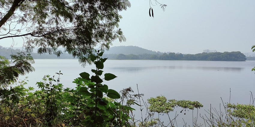 An image of Pashan Lake, a lake in Maharashtra, with calm waters and lush green surroundings.