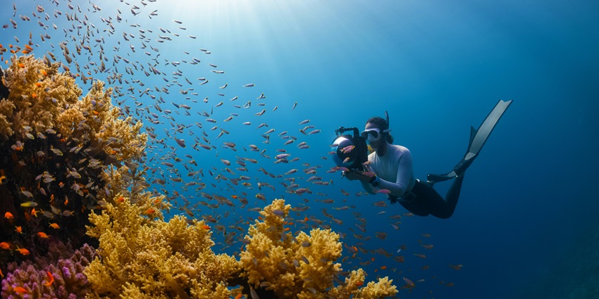 Passikudah is a renowned diving site on Sri Lanka’s eastern coast.