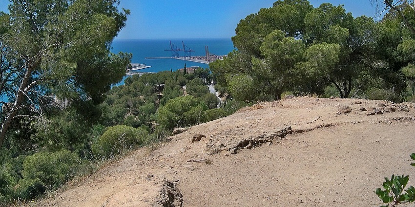 The turquoise water of the sea is shown from the viewpoint surrounded by lush greenery.