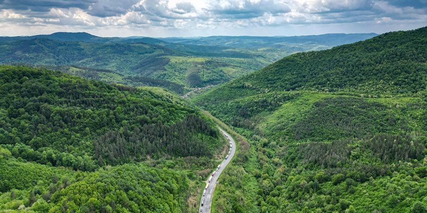 An image of a place which resembles the Pelela Pass, a popular place in Wangdue Phodrang, Bhutan.