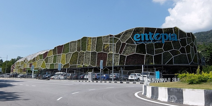 Have an unforgettable experience in the Butterfly farm at Penang