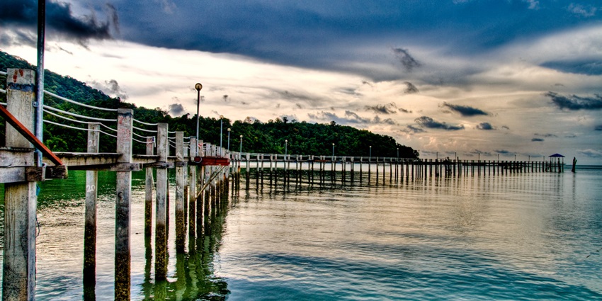 Explore the rich biodiversity at Penang National Park