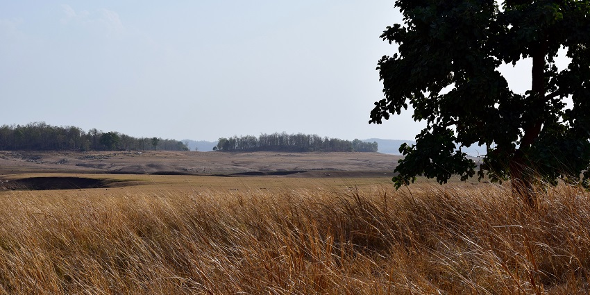 An image of picturesque riverine landscapes of Pench National Park, rich biodiversity