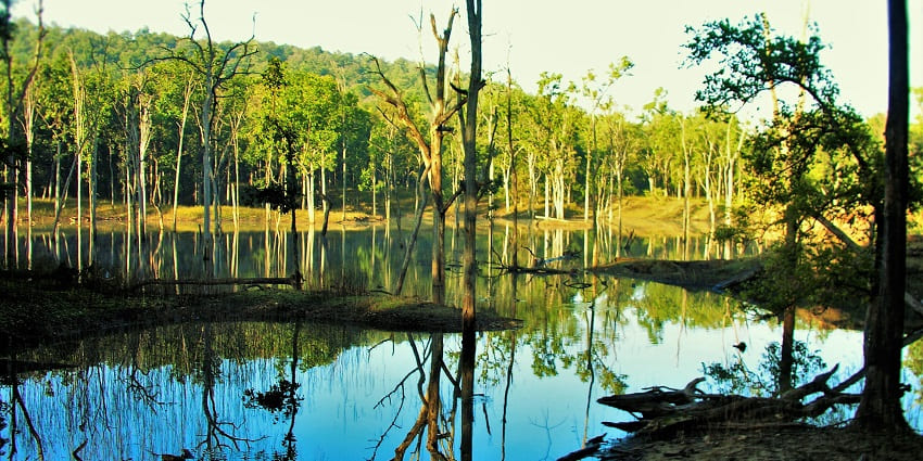 An image of, a famous wildlife destination near Umred Karhandla Wildlife Sanctuary.