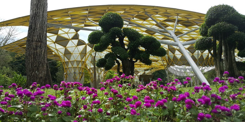 Stunning flora of the Perdana Botanical Gardens.