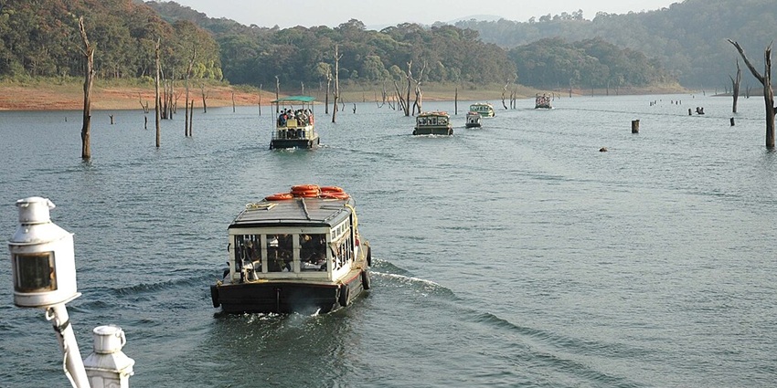 An image of boat rides in Periyar National Park, one of the best tiger wildlife sanctuaries in the world
