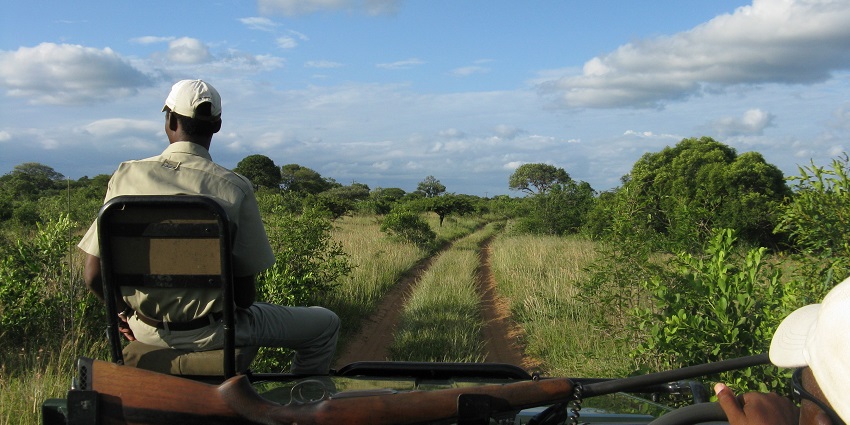 One of the South Africa Jungle safaris at the Phinda Private Game Reserve, South Africa.