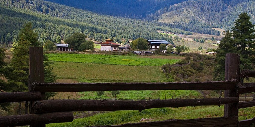An image of the Phobjikha Valley, with wooden fences, green fields, farmhouses, and forested mountain backdrop