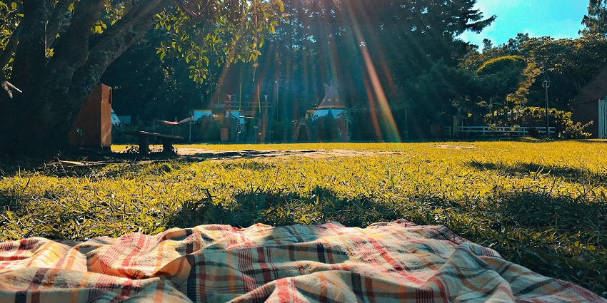 A glimpse of a picnic being conducted on the perfect lush green grass near a water body.