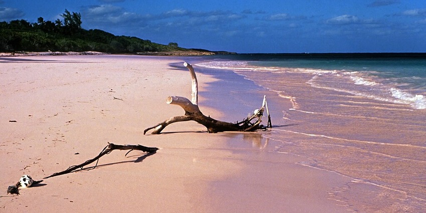 Pink Sands Beach, features rose-hued shores, a standout among Caribbean beaches.