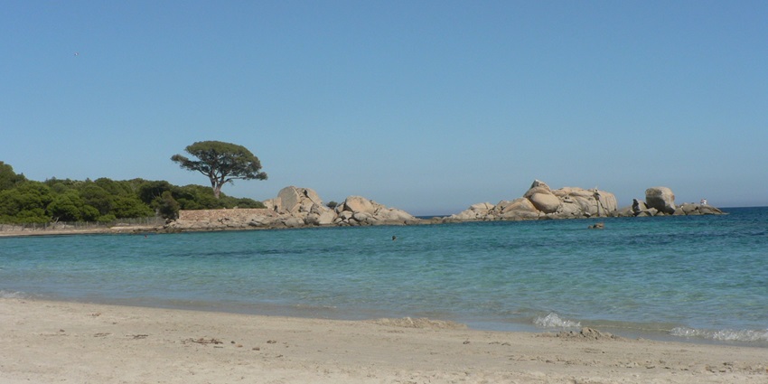 A picturesque beach with golden sands, pine trees, and shallow waters.