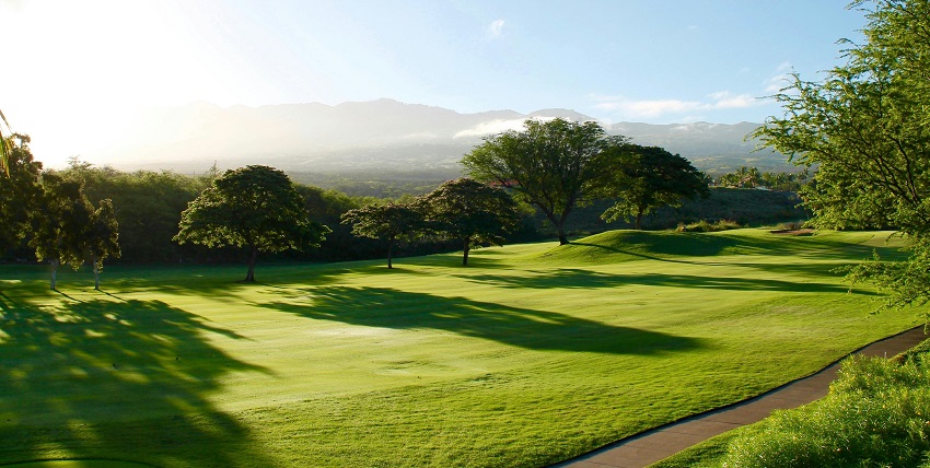 An image resembling people playing golf in Mandeville, one of the things to do in Jamaica.