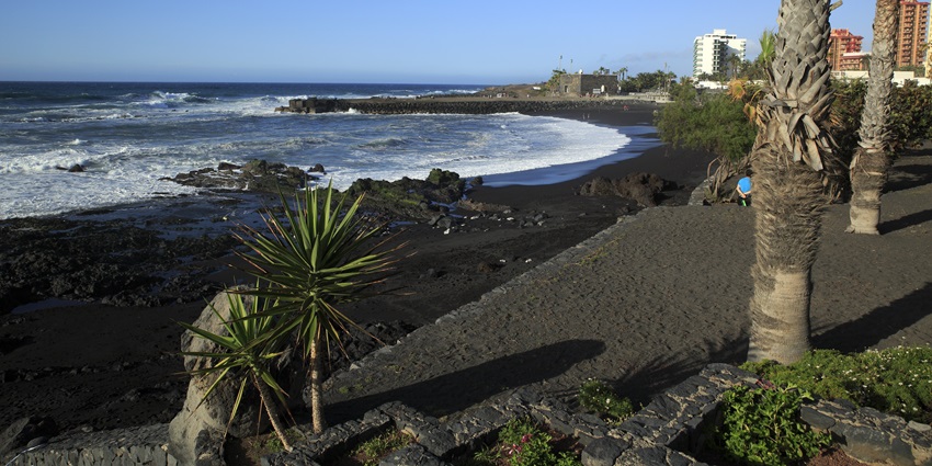 Palm trees line Playa Jardín, a breathtaking black sand beach in the world, in Tenerife.