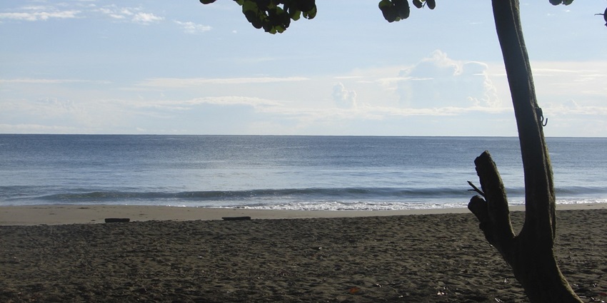 One of the must-visit black sand beaches in the world, Playa Negra’s pristine coastline with palm trees and turquoise waters under a clear sky.