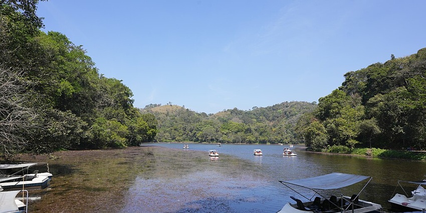 Pookode Lake with multiple small boats rowing in the lake
