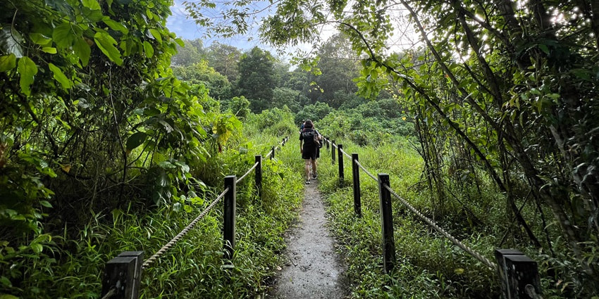 Visitors can see various bird species at the Port Moresby Nature Park near New Guinea Island.