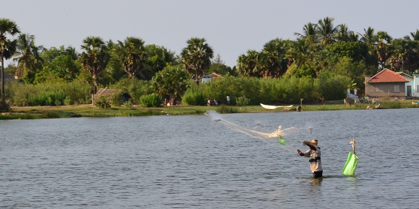 The scenic Pottuvil Lagoon is one of the serene and enjoyable spots.